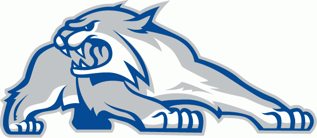 New Hampshire Wildcats 2000-Pres Alternate Logo v2 diy DTF decal sticker